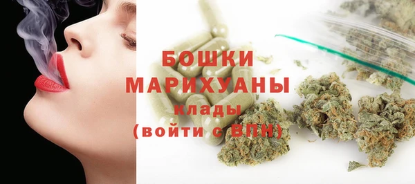 прущие грибы Баксан