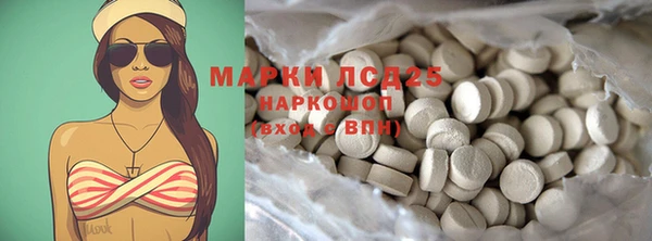 прущие грибы Баксан