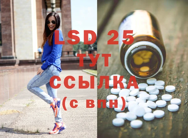 прущие грибы Баксан