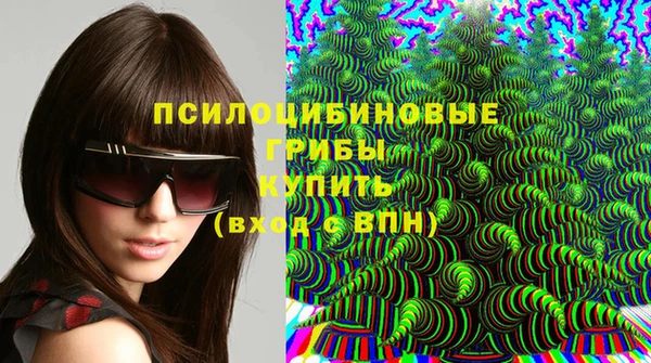 2c-b Балахна