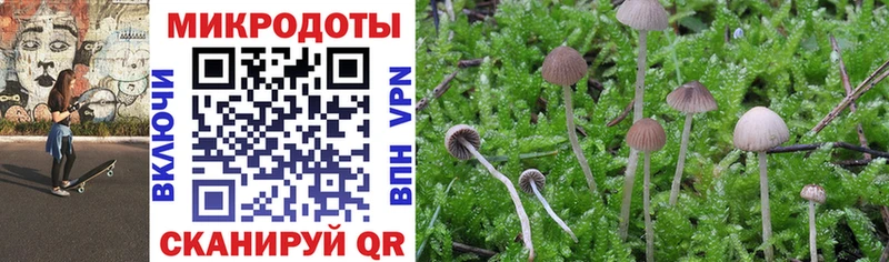 shop Telegram  Белинский  Галлюциногенные грибы MAGIC MUSHROOMS 